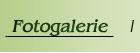 Fotogalerie